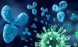 Многообразие проявлений коронавируса удалось систематизировать