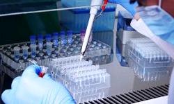 Новые методы борьбы с коронавирусом