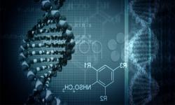 Интересная и загадочная биохимия