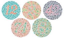 Дальтонизм