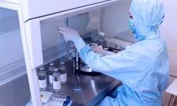 Борьба с коронавирусной инфекцией
