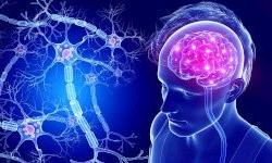 Коронавирус поражает головной мозг