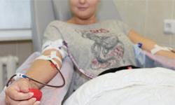 Число трансплантаций костного мозга ежегодно растет