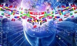 От чего зависит успешность изучения иностранного языка