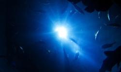 Конформность