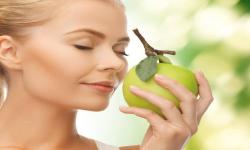 Как мы распознаем различные запахи