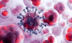 Диагностика более 50 типов рака