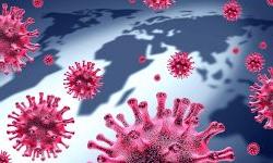 Как эпидемия перерастает в пандемию