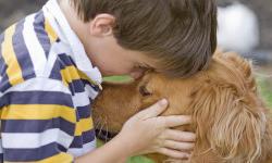 Домашние питомцы помогают сохранить здоровье