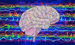 Наука, изучающая сны