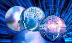 Как формируется сознание