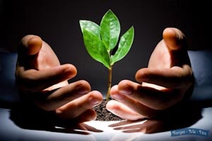 экологическая безопасность